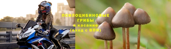 стафф Бородино