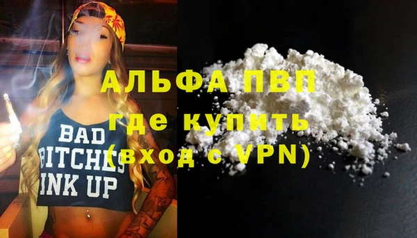стафф Бородино