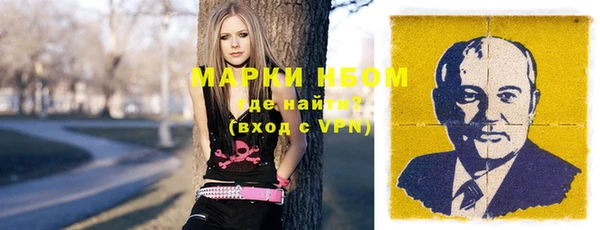 стафф Бородино