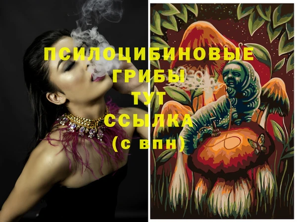 стафф Бородино